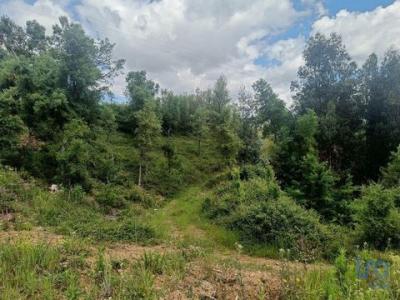 Annonce Vente Terrain Pedrogao-grande