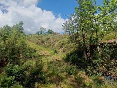 Annonce Vente Terrain Pedrogao-grande