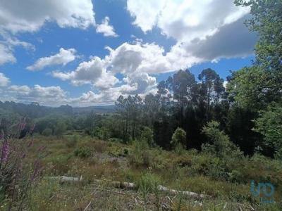 Acheter Terrain Pedrogao-grande rgion LEIRIA