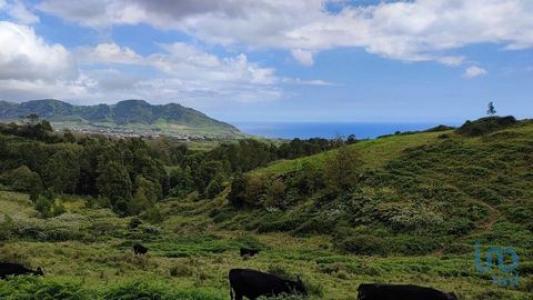 Vente Terrain Povoacao POVOAAAO 20 au Portugal