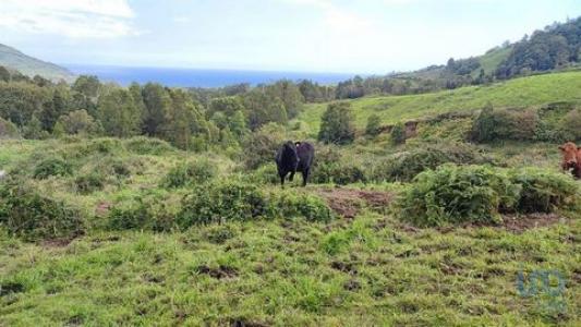 Acheter Terrain Povoacao rgion ACORES