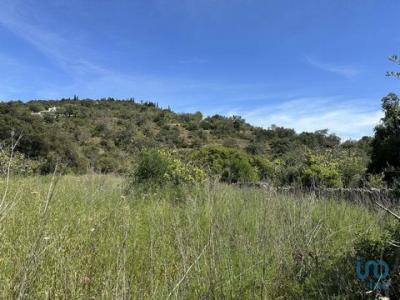 Acheter Terrain 1800 m2 Loule