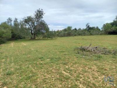 Annonce Vente Terrain Olhao