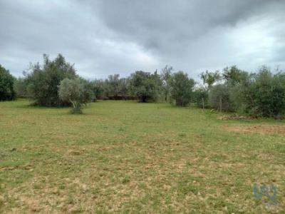 Acheter Terrain 1480 m2 Olhao