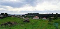 Acheter Terrain 9790 m2 PENAFIEL