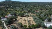 Acheter Maison LOULE rgion FARO