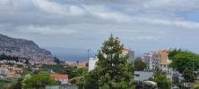 Annonce Vente 3 pices Appartement FUNCHAL