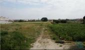 Annonce Vente Terrain ALCOCHETE