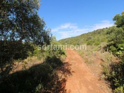 Annonce Vente Terrain Loule