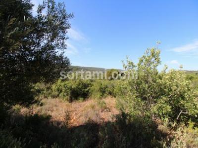 Acheter Terrain Loule