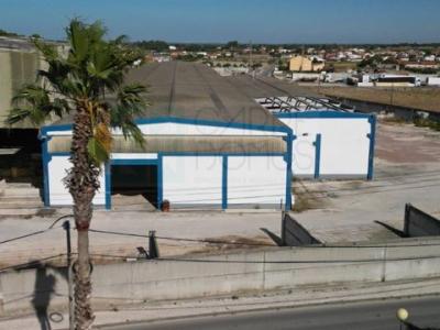 Acheter Local industriel 2358 m2 Montijo