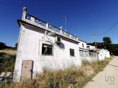 Acheter Terrain Sesimbra rgion SETUBAL