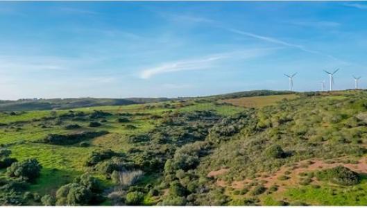 Acheter Terrain 17320 m2 Vila-do-bispo