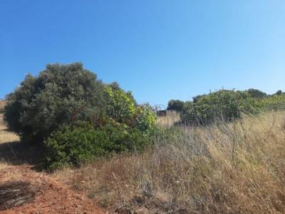 Acheter Terrain 5880 m2 Vila-do-bispo