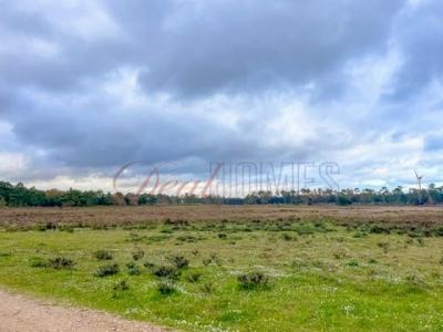 Annonce Vente Terrain Vila-do-bispo