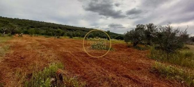 Annonce Vente Terrain Loule