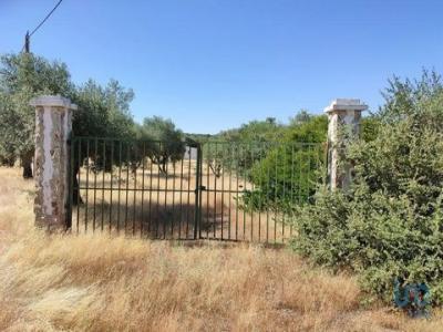 Vente Terrain Elvas SAO-BRAS-E-SAO-LOURENAO 12 au Portugal