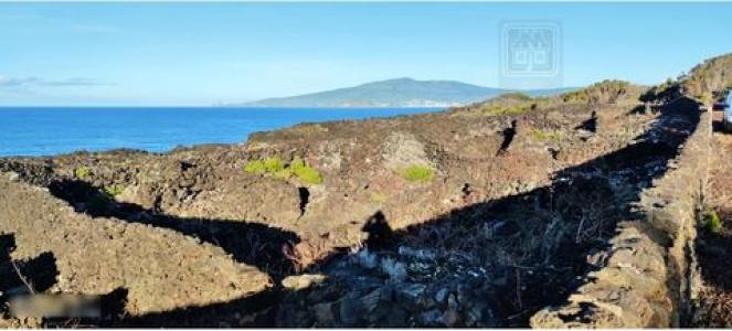 Acheter Terrain Madalena rgion ACORES