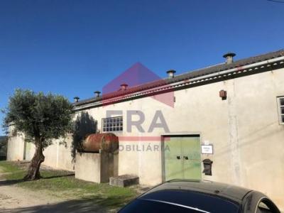 Acheter Local industriel 495 m2 Porto-de-mos