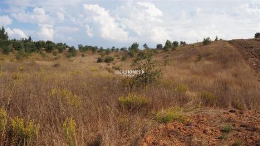 Annonce Vente Terrain Cercal-do-alentejo