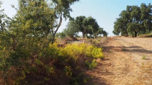 Acheter Terrain 31000 m2 Cercal-do-alentejo