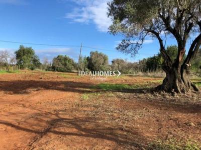 Vente Terrain Boliqueime  08 au Portugal