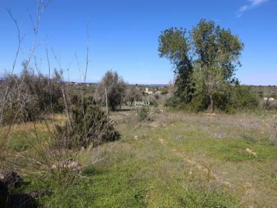 Annonce Vente Terrain Algoz