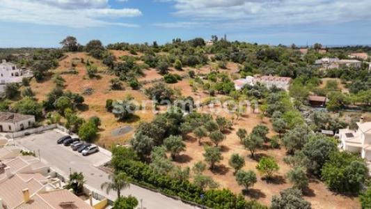 Annonce Vente Terrain Loule