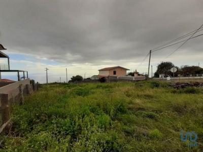 Annonce Vente Terrain Santa-cruz