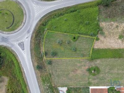 Annonce Vente Terrain Miranda-do-corvo