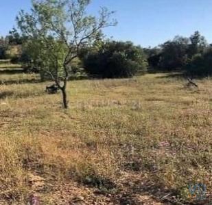 Annonce Vente Terrain Vila-velha-de-rodao