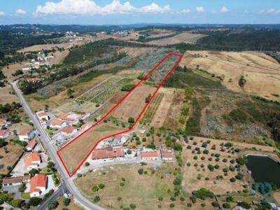 Vente Terrain Tomar SAO-PEDRO-DE-TOMAR 14 au Portugal