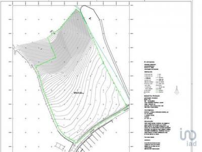 Acheter Terrain Alcobaca rgion LEIRIA