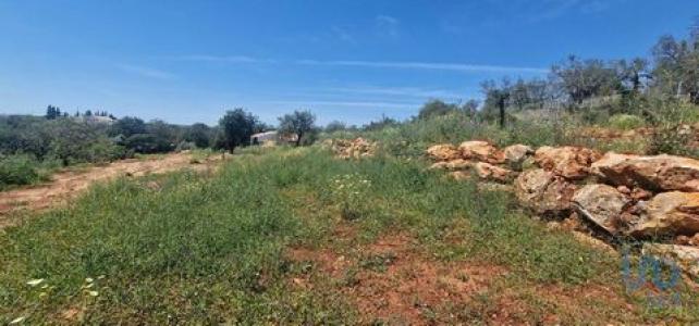 Annonce Vente Terrain Loule