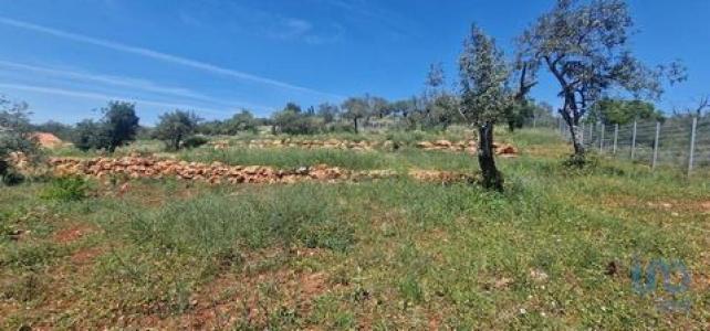 Acheter Terrain 7000 m2 Loule