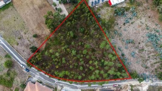 Annonce Vente Terrain Marinha-grande