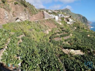 Acheter Terrain Arco-da-calheta rgion MADEIRA