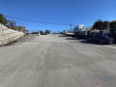 Acheter Local commercial 4400 m2 Coimbra