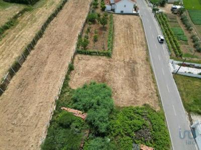 Acheter Terrain 460 m2 Miranda-do-corvo