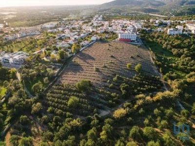 Acheter Terrain Faro rgion FARO