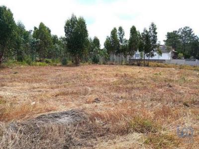 Annonce Vente Terrain Marinha-grande