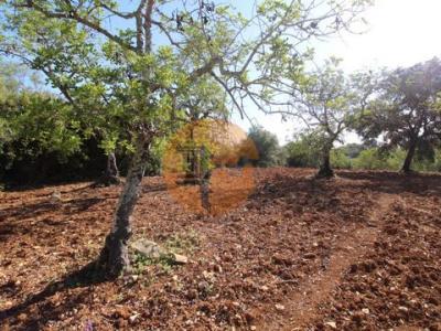 Acheter Terrain Faro rgion FARO