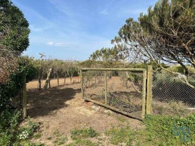 Annonce Vente Terrain Alto-foz