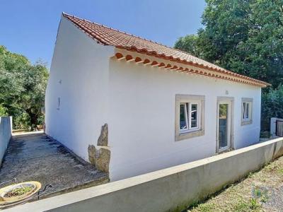 Vente Maison Porto-de-mos ALVADOS-E-ALCARIA 10 au Portugal