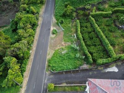 Acheter Terrain Lajes-do-pico rgion ACORES