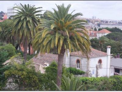 Annonce Location Appartement Cascais