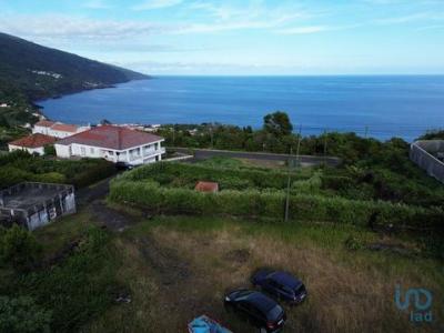 Acheter Terrain Lajes-do-pico rgion ACORES