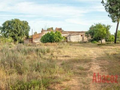 Acheter Terrain 1000 m2 Olhao