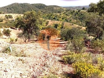 Acheter Terrain 4930 m2 Tavira