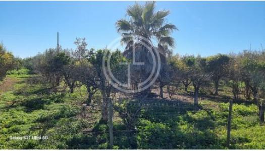 Annonce Vente Terrain Faro